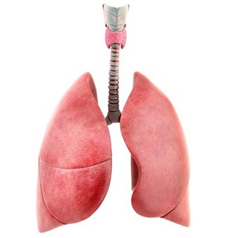 Leczenie chorób płuc Wałcz